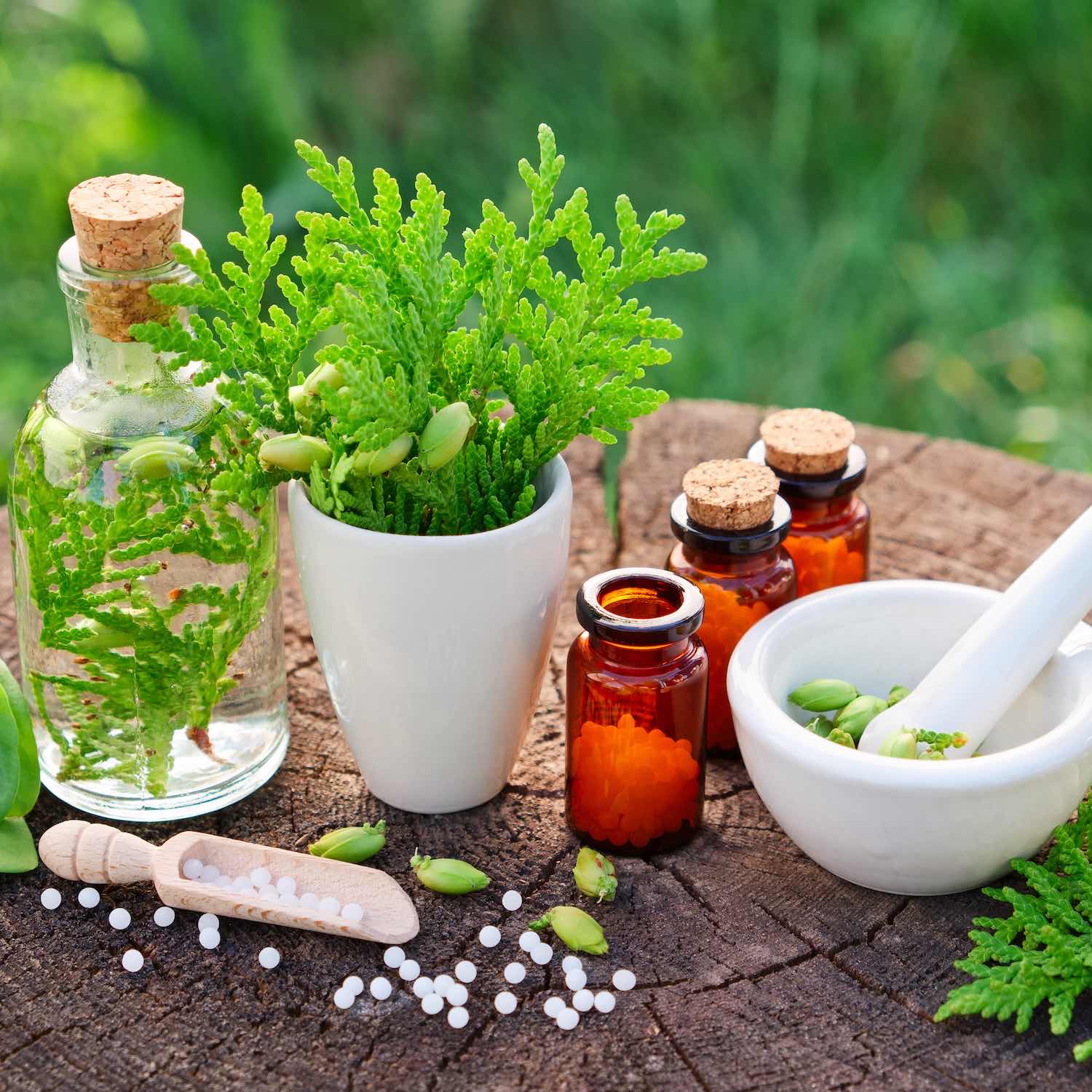 Homéopathie Grande Pharmacie de Cavignac